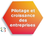 Pilotage et croissance des entreprises